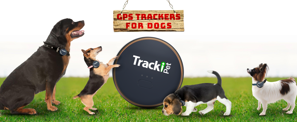 GPS Trackers for Dogs | Tracki