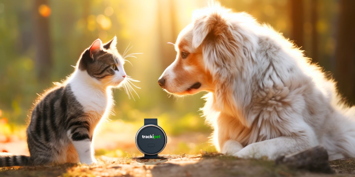 Best Pet GPS Trackers of 2024: Keep Your Pets Safe | Tracki