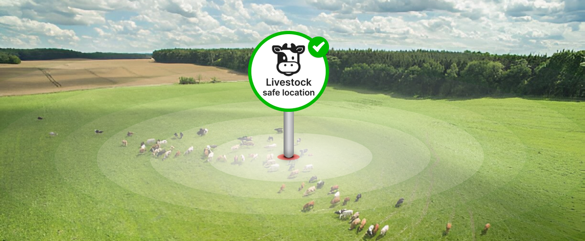 Cattle and Livestock GPS Tracker