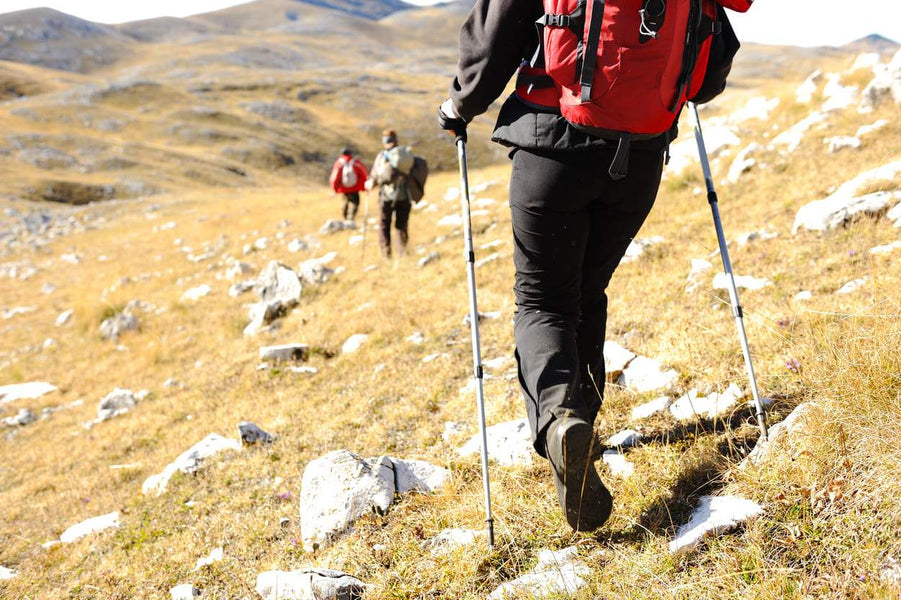 Take a Hike and How To Be Safe While Hiking