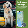 Trackipet 2024, modèle 4g, mini traceur GPS pour animaux de compagnie
