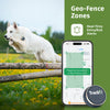 Trackipet 2024 4g Modell Mini-GPS-Tracker für Haustiere