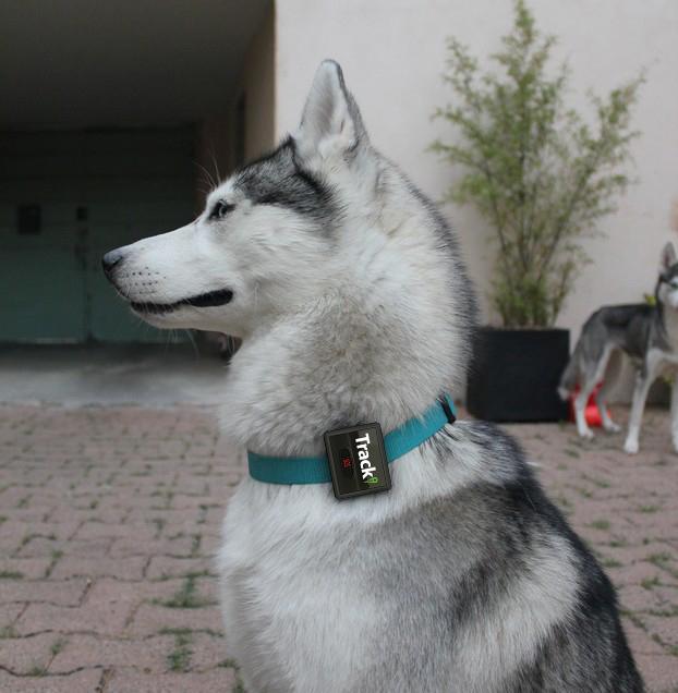 Tracki 2021 Model Mini Real time GPS Tracker. - Tracki