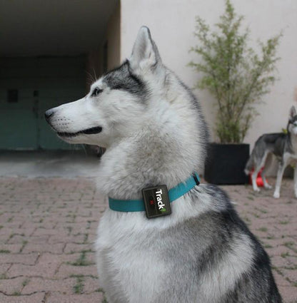 Tracki 2021 Model Mini Real time GPS Tracker. - Tracki